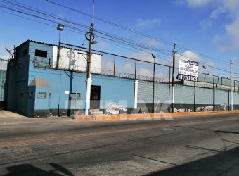 54029 – Venta – Local Industrial – Carmen De La Legua